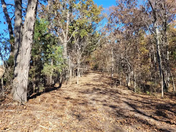 421 Piepers Corner Rd (58.62 Ac), Silex, MO 63377