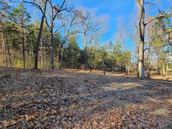 4335 Fort Hill Trail, Hillsboro, MO 63050