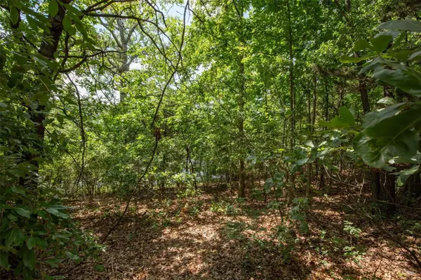 0 Rue Marseille, Bonne Terre, MO 63628