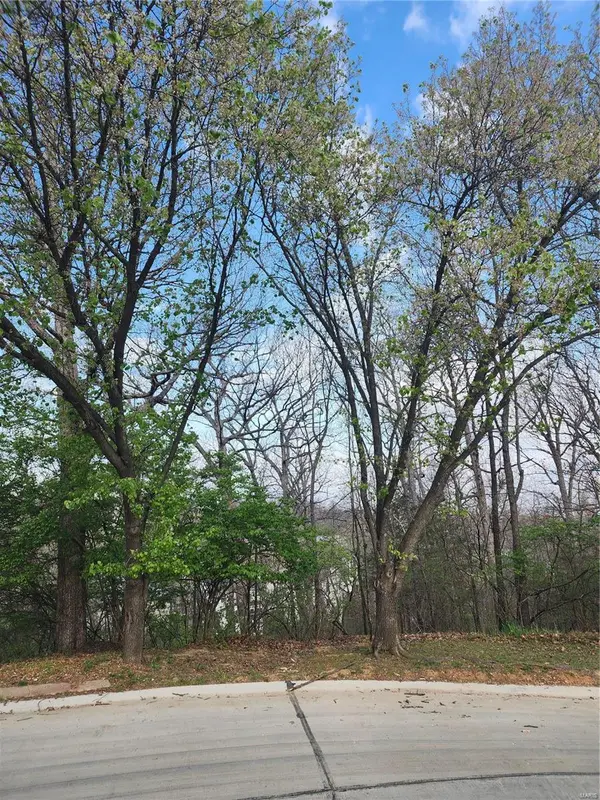 1800 Harbor Mill DR, Fenton, MO 63026