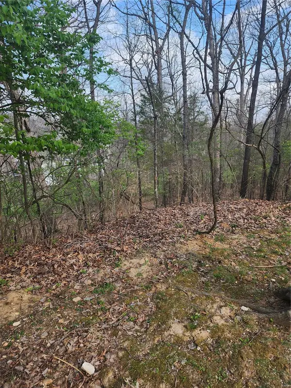 1800 Harbor Mill DR, Fenton, MO 63026