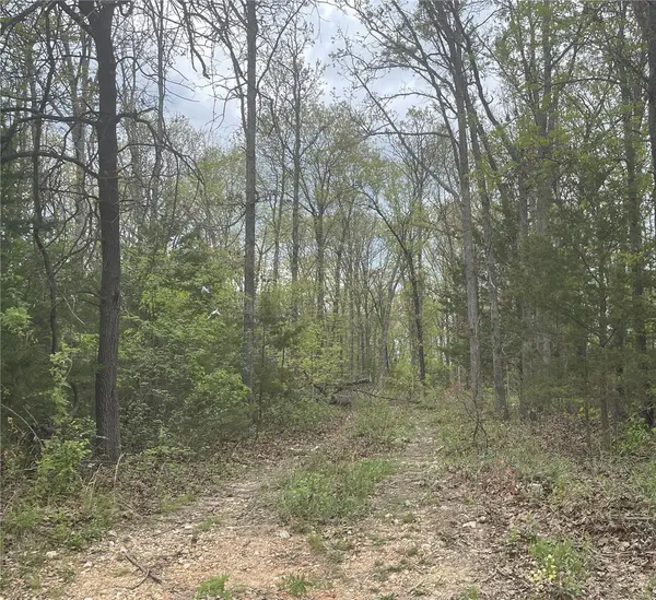 0 ELKHORN ROAD, Niangua, MO 65713