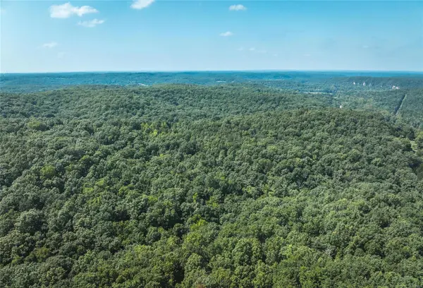 0 Temporal Drive, Devils Elbow, MO 65457