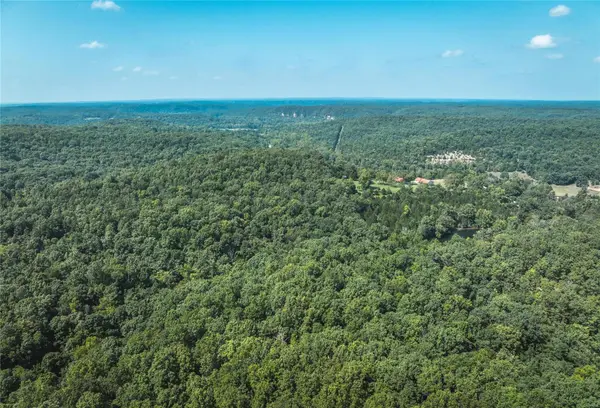 0 Temporal Drive, Devils Elbow, MO 65457