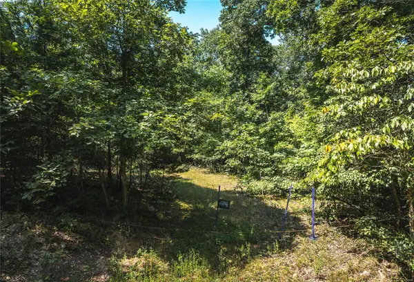 0 Temporal Drive, Devils Elbow, MO 65457
