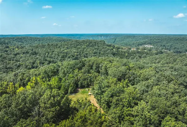 0 Temporal Drive, Devils Elbow, MO 65457