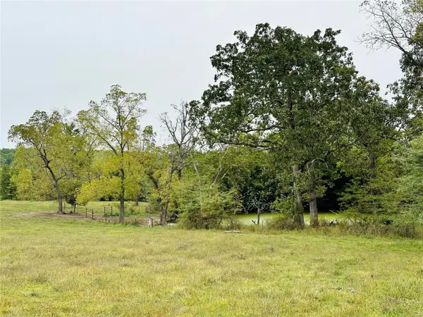 8060 Highway 17, Bucyrus, MO 65444