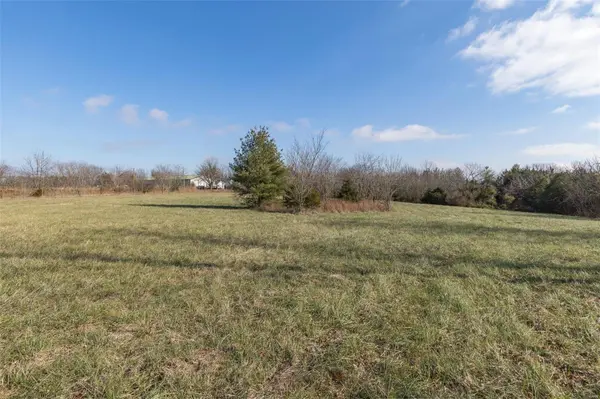 0 David RD, Bonne Terre, MO 63628