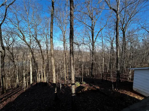 281 Shannon DR, Piedmont, MO 63957