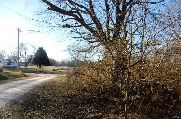 103 N Roosevelt ST, Bellflower, MO 63333