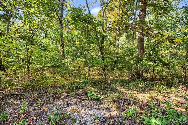 Lot 51 Elm DR, Dittmer, MO 63023