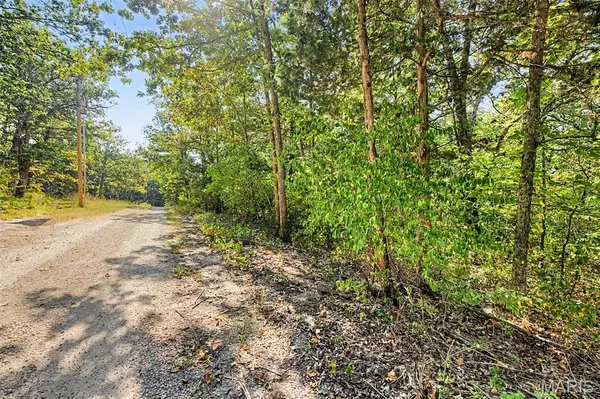 Lot 51 Elm DR, Dittmer, MO 63023