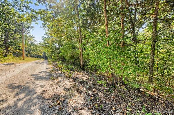 Lot 51 Elm DR, Dittmer, MO 63023
