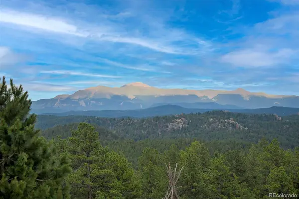 1701 Wildhorn RD, Florissant, CO 80816