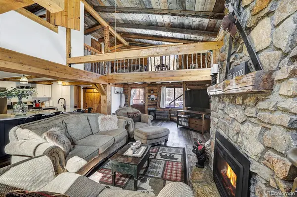 2585 County Road 12, Alma, CO 80420