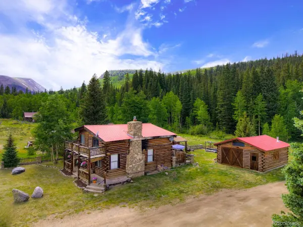 2585 County Road 12, Alma, CO 80420