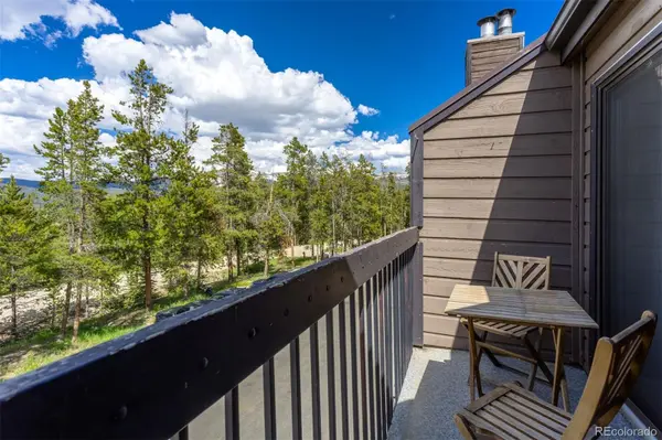 100 Bryant BLVD #3, Fraser, CO 80442