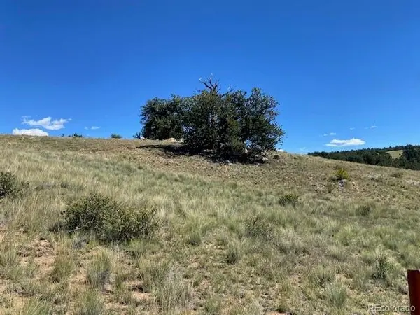 TBD CR 77, Como, CO 80456
