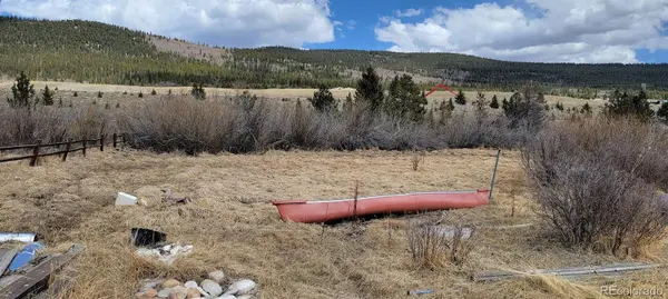 33 E Northrup ST, Alma, CO 80420