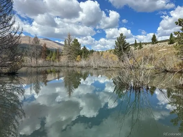 33 E Northrup ST, Alma, CO 80420