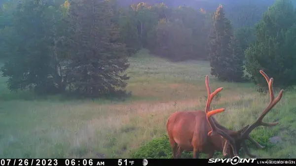 TBD CR 575.1, Gardner, CO 81040