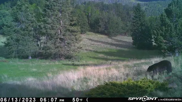 TBD CR 575.1, Gardner, CO 81040