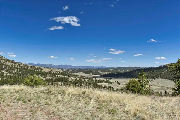 87 Wagon Wheel CIR, Guffey, CO 80820