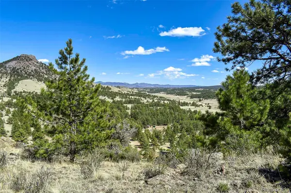 87 Wagon Wheel CIR, Guffey, CO 80820