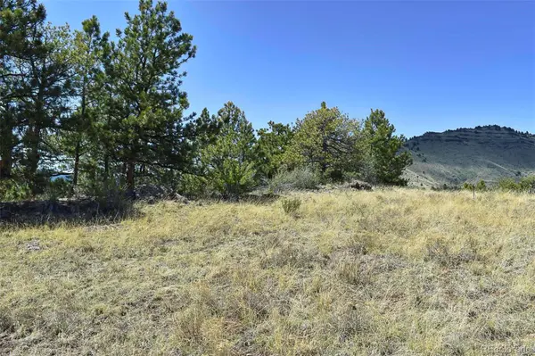 87 Wagon Wheel CIR, Guffey, CO 80820