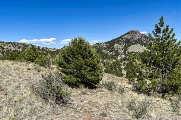87 Wagon Wheel CIR, Guffey, CO 80820