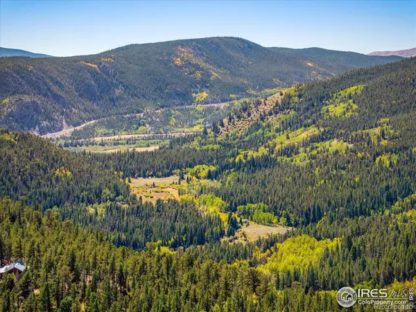 351 County Road 128n, Nederland, CO 80466