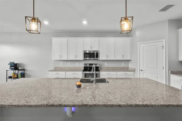 11387 CANOPY LOOP, Fort Myers, FL 33913