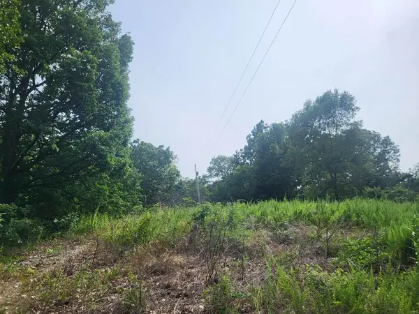 35930 76-269-PVT DR-A, Vanzant, MO 65769