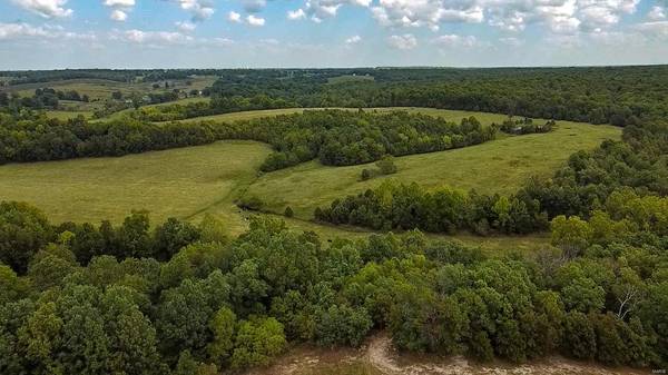 0 42 +/- acres County Road 6210, Edgar Springs, MO 65462