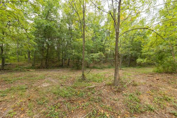 0 42 +/- acres County Road 6210, Edgar Springs, MO 65462