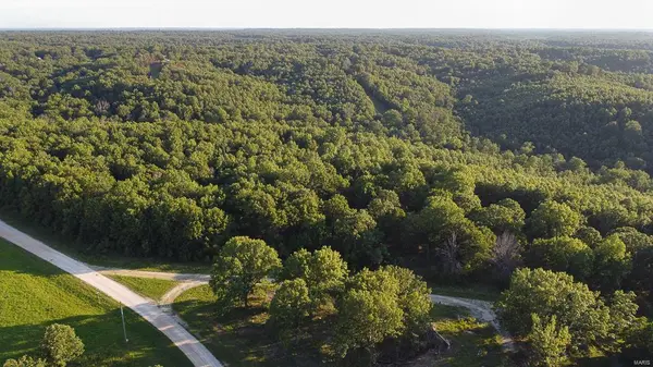 0 Vineyard LN, Tunas, MO 65764