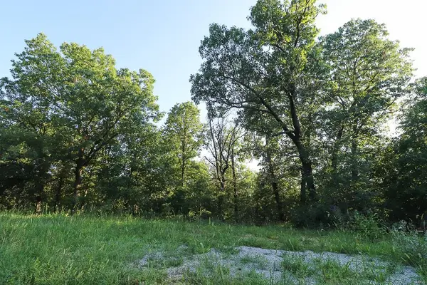 0 Vineyard LN, Tunas, MO 65764