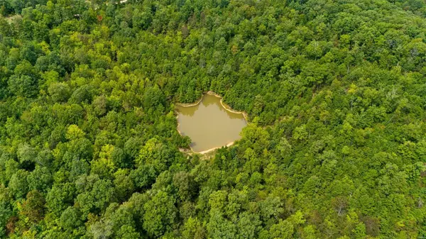 10474 Macon RD, Potosi, MO 63664