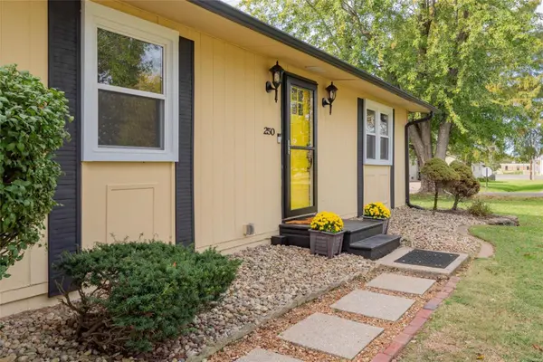 250 Broadway, Hamel, IL 62046
