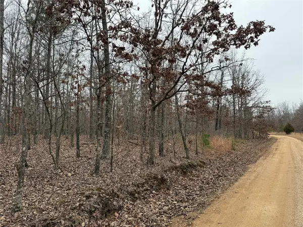 0 County Road BB-2, Fairdealing, MO 63939