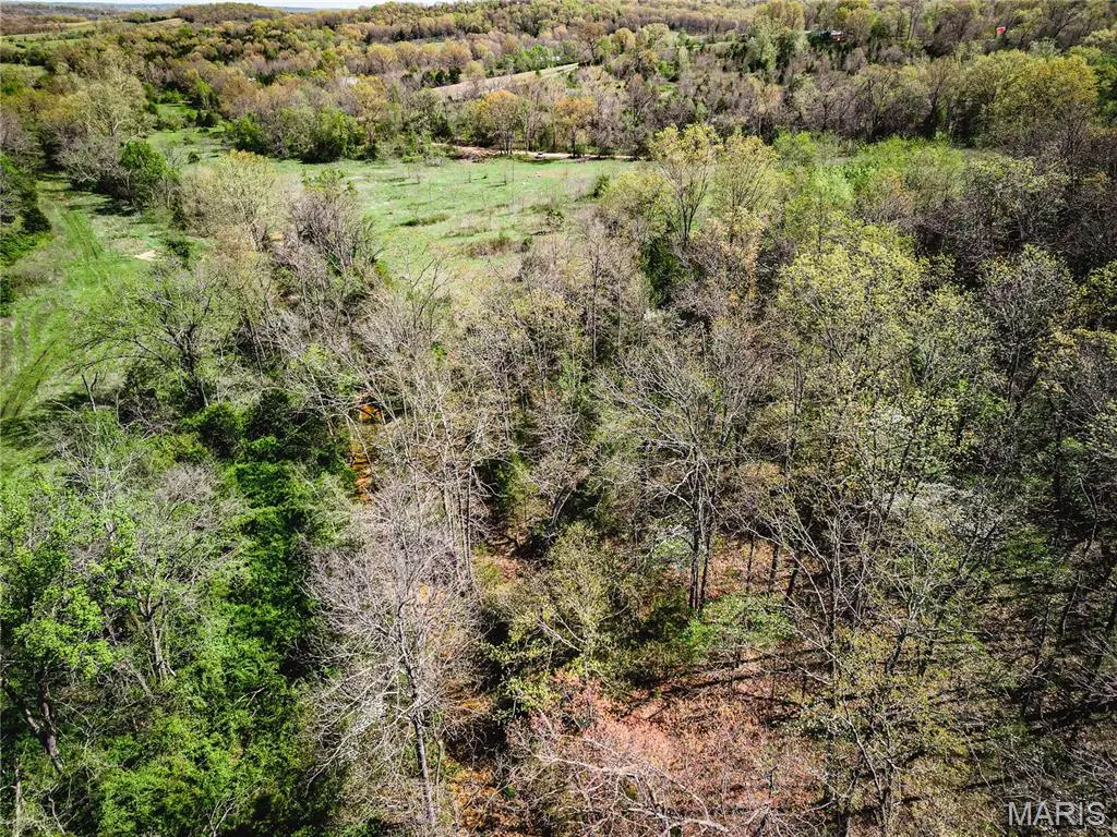 5625 County Road P-305, Ava, MO 65608