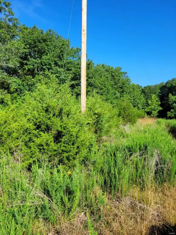 28 Keleman Farms West, Dittmer, MO 63023