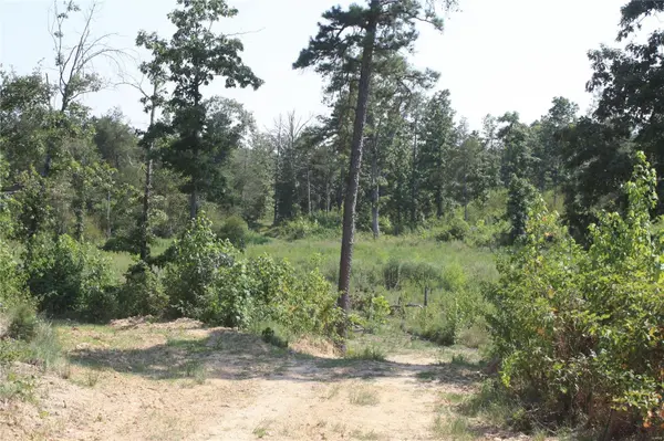 0 Highway N (340 ac), Annapolis, MO 63620