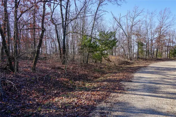 33551 CR 6510, Beulah, MO 65436