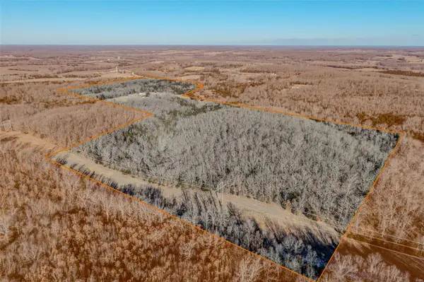 52 earnestville RD, Long Lane, MO 65590