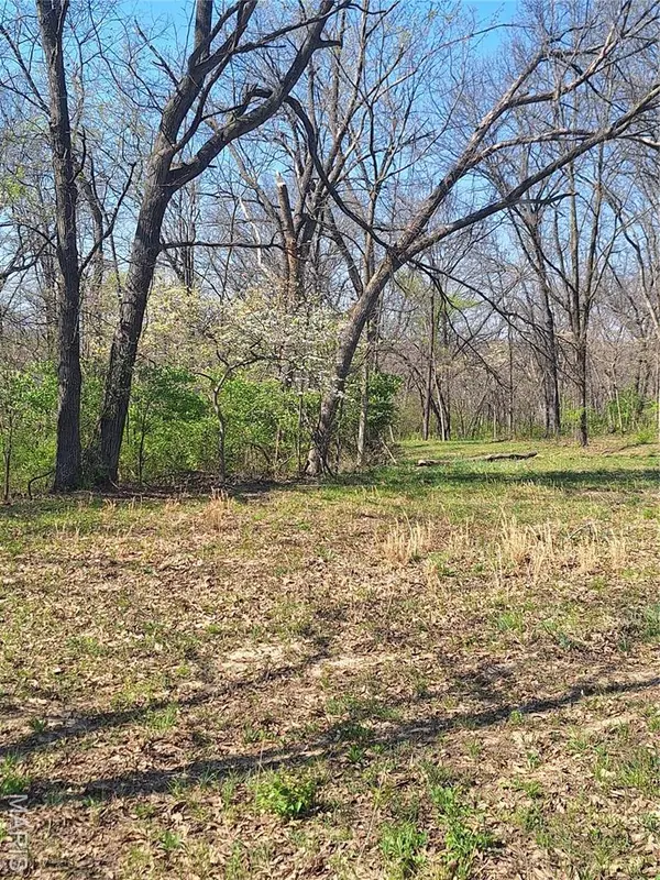 185 Tall Tree LN, Foley, MO 63347