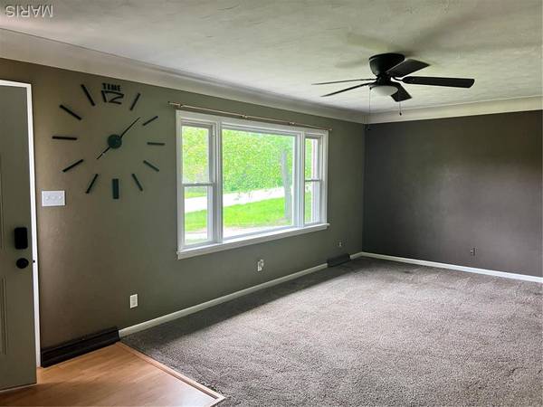 5007 Seiler RD, Dorsey, IL 62021
