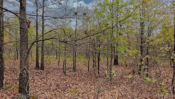 0 W Hwy 76, Ava, MO 65608