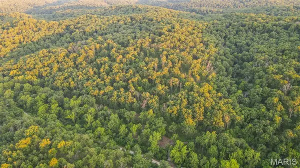 TBD 37.42ac Broads Branch RD, Macks Creek, MO 65786