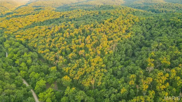 TBD 37.42ac Broads Branch RD, Macks Creek, MO 65786